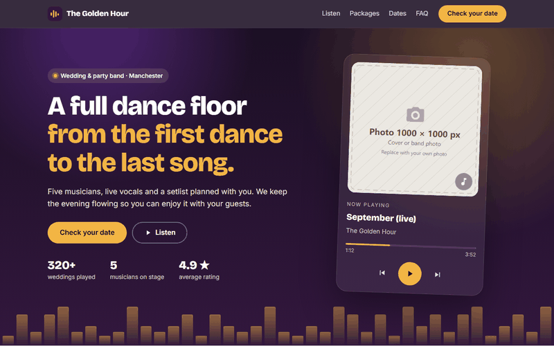 Musician, band or DJ